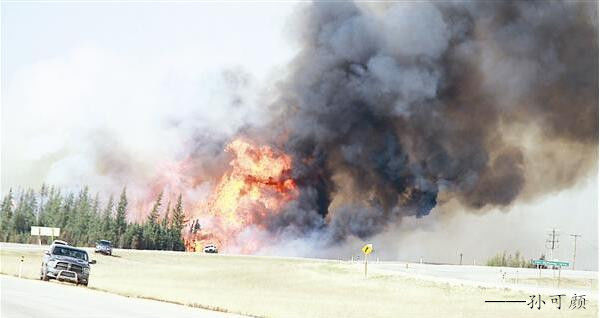 艾伯塔省人口_人口普查