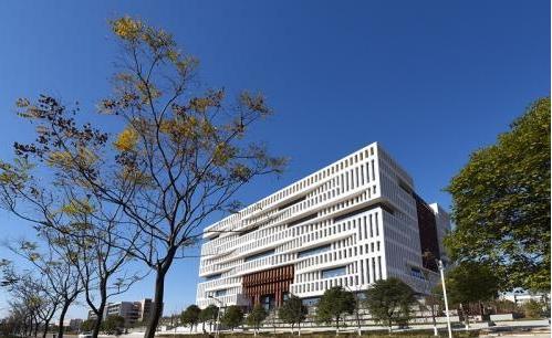 理工大学排名，前三都是985，这些理工大学进不了前十名