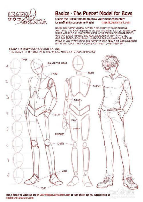 人物脸部五官该怎么画？人脸有什么绘画方法吗？