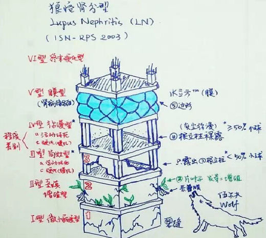 医学生必看：怎样“背书”更高效