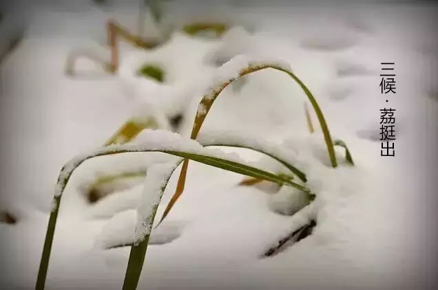 蓮花山潤生堂 蓮花山潤生堂