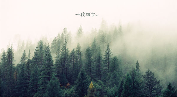 800?pt=0&ek=1&kp=1&sce=0-12-12