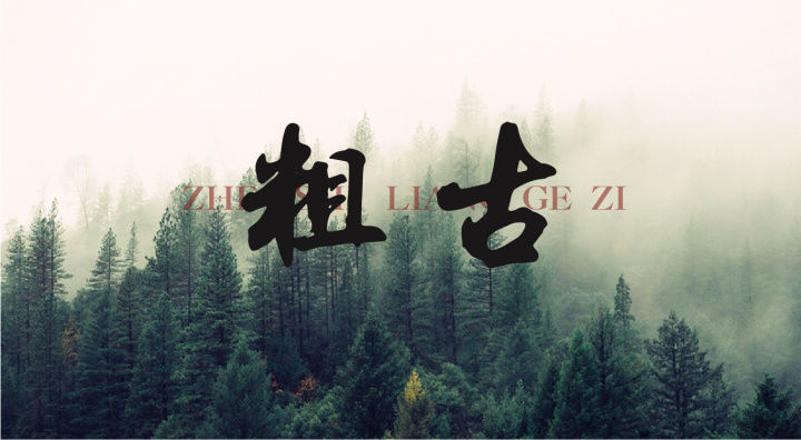 800?pt=0&ek=1&kp=1&sce=0-12-12