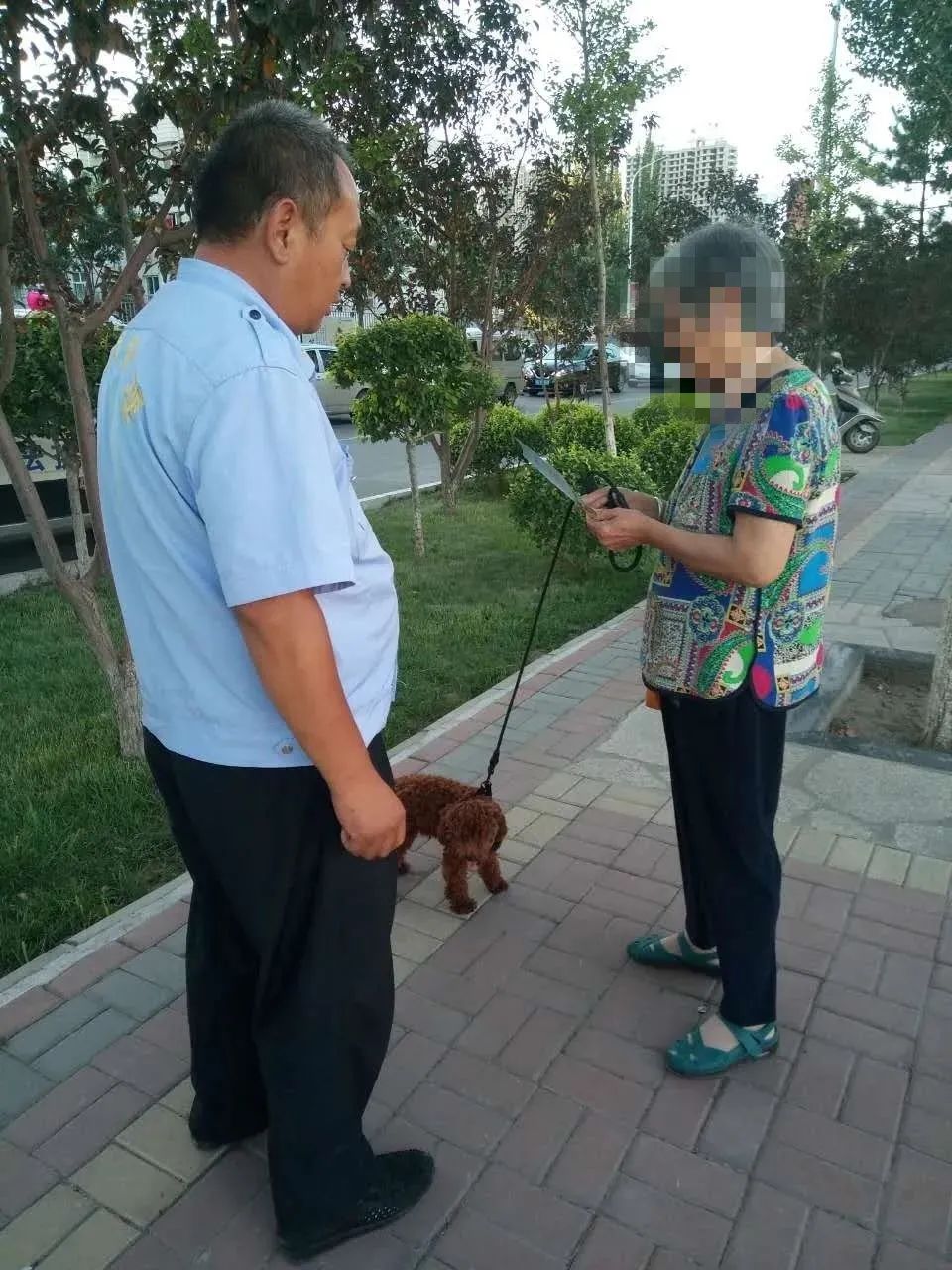 张家口桥西文明网