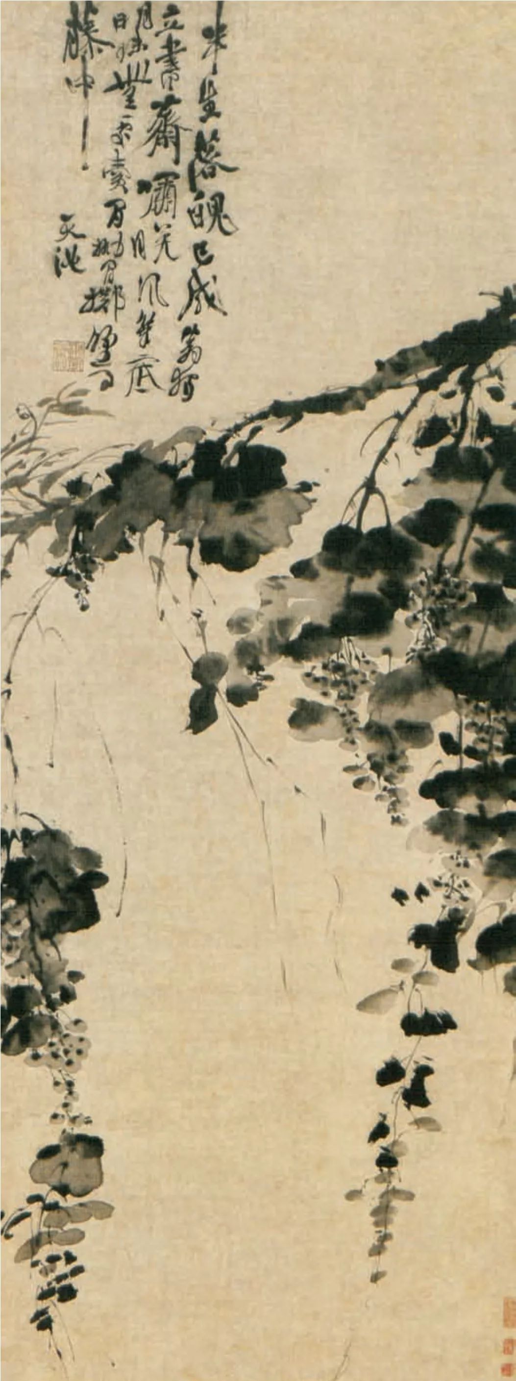 鉴赏徐渭的大写意绘画是有底线的绝不仅仅是一种单纯的情绪宣泄