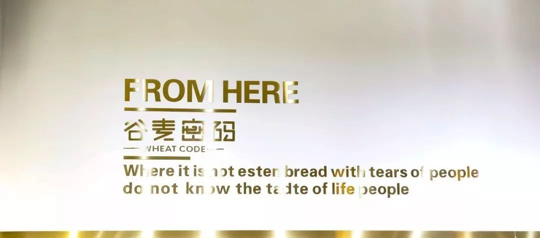 学员专访 | 强强联合，从毕业到就业，一步到位