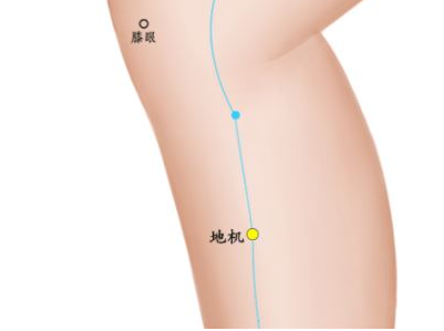 艾灸地机穴