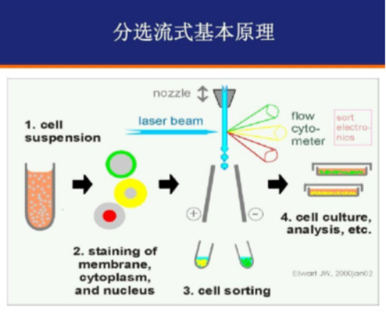 北京微旋基因技术有限公司