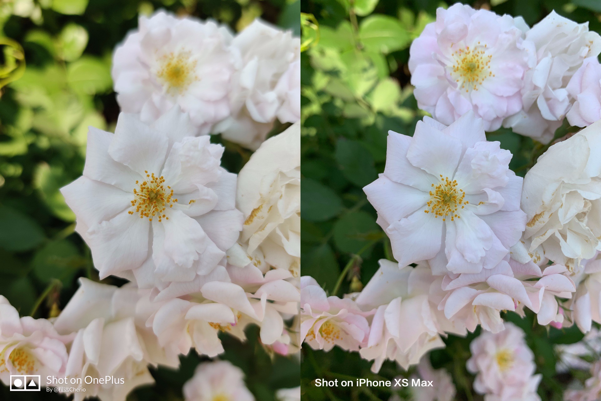 OnePlus 7 Pro：屏幕长板推高“旗舰”定义标准| 凰家评测