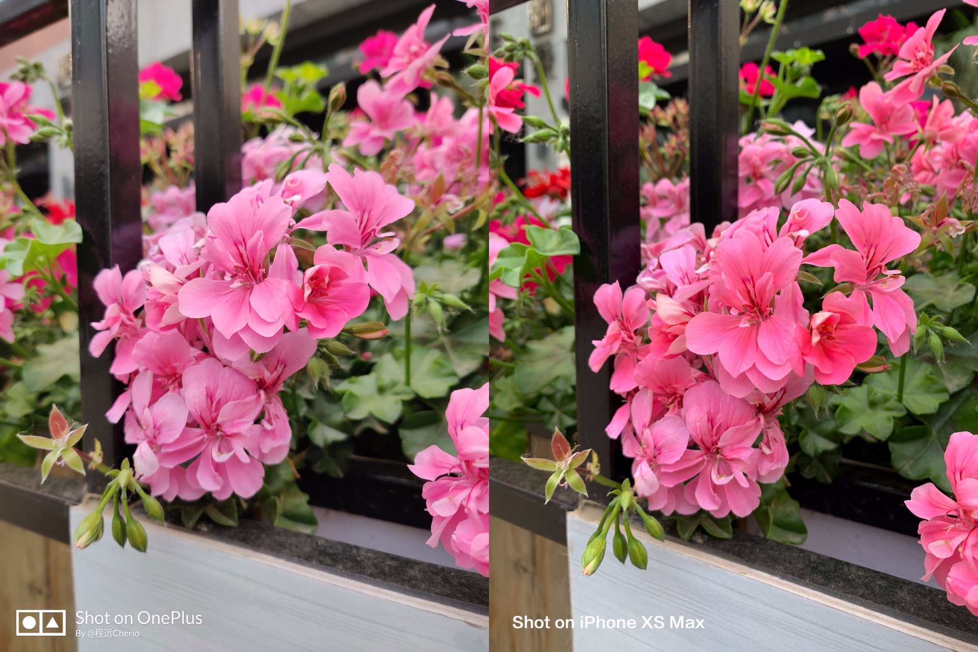 OnePlus 7 Pro：屏幕长板推高“旗舰”定义标准| 凰家评测