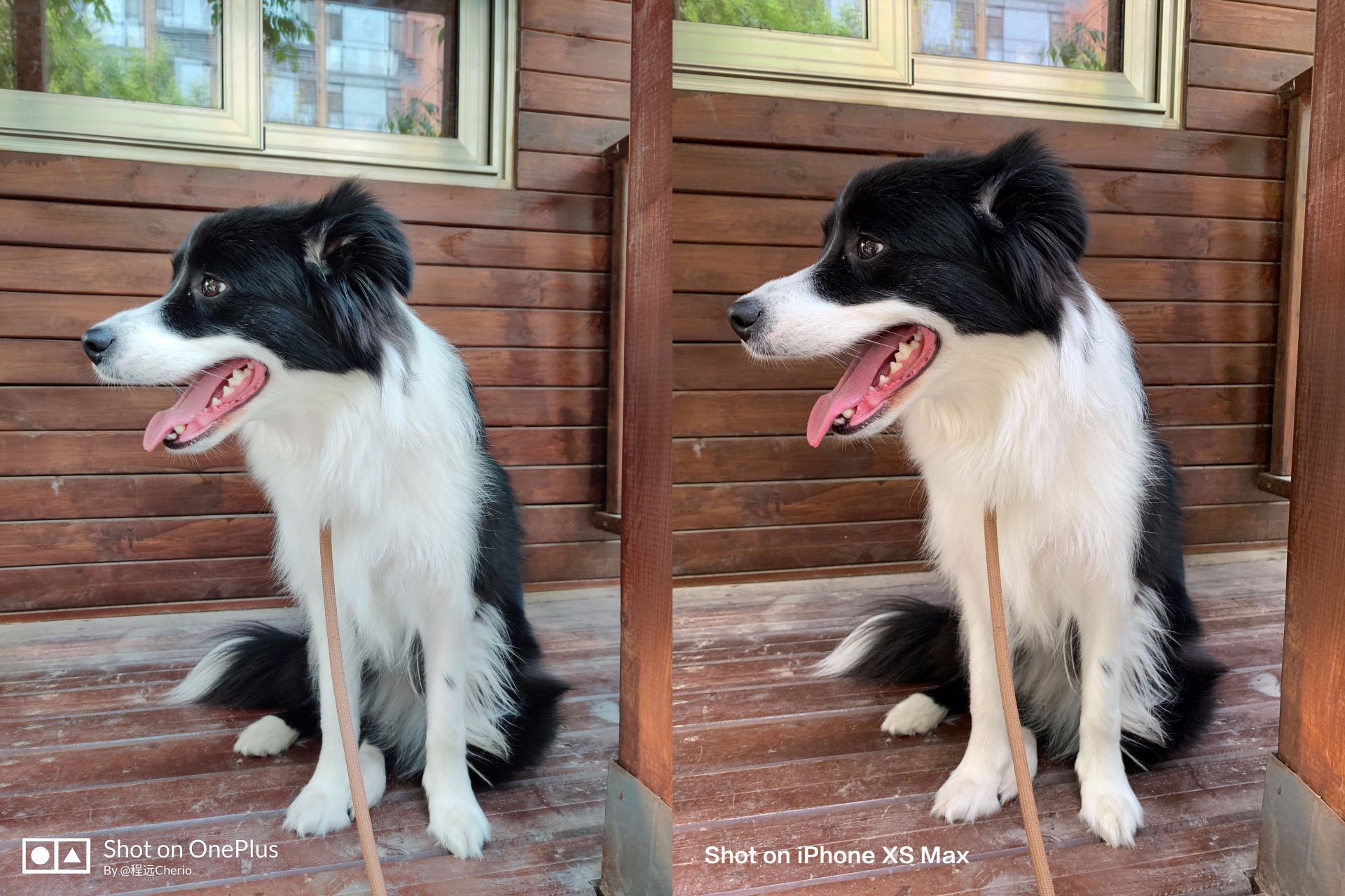 OnePlus 7 Pro：屏幕长板推高“旗舰”定义标准| 凰家评测