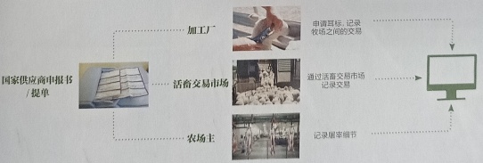 澳大利亚羊肉运输及活畜交易市场的羊群追溯