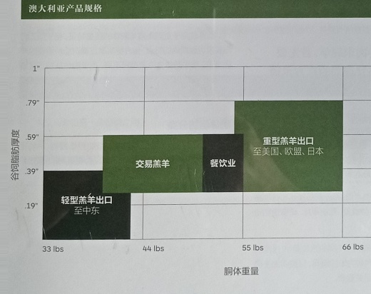 澳大利亚国家牲畜识别体系(NLIS)