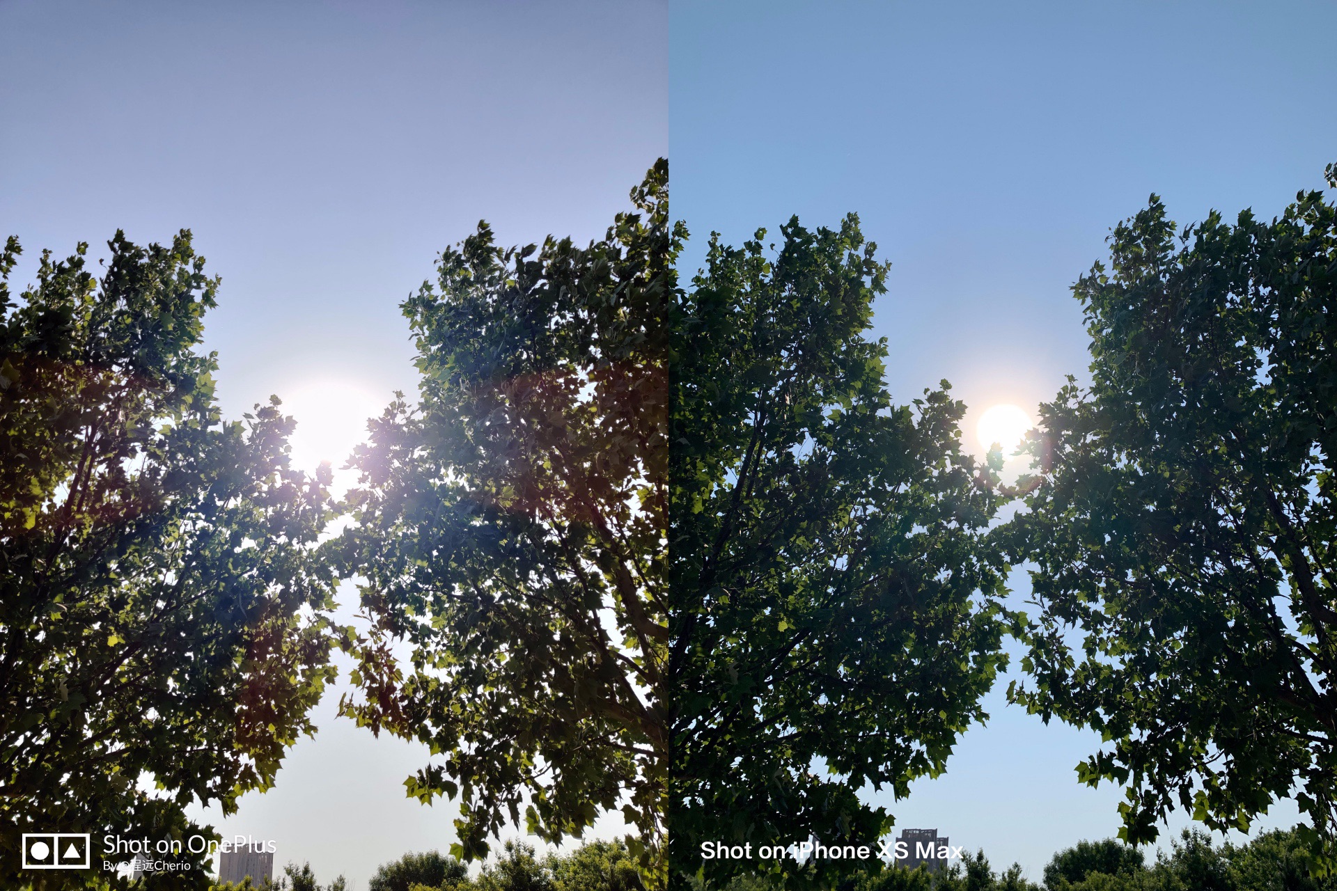 OnePlus 7 Pro：屏幕长板推高“旗舰”定义标准| 凰家评测