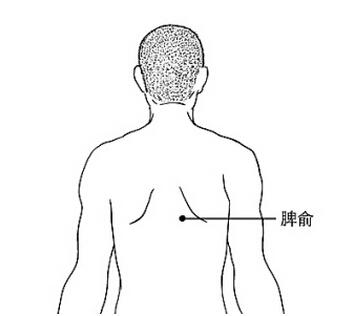 艾灸脾俞穴