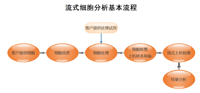 北京微旋基因技术有限公司